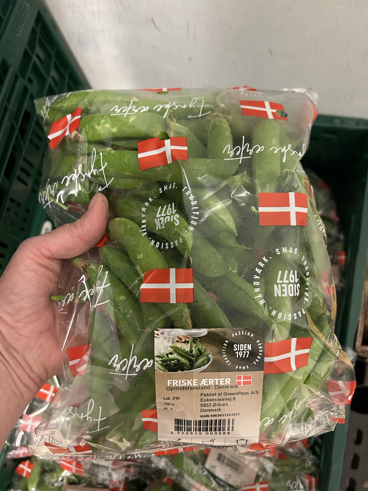 Ærter