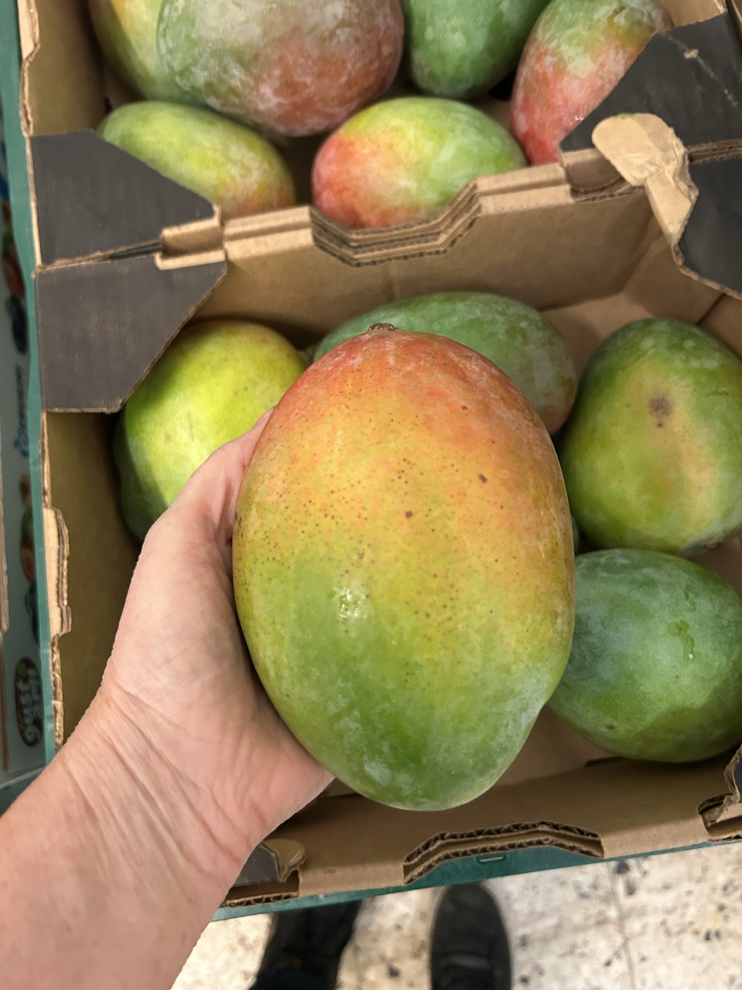 Mango
