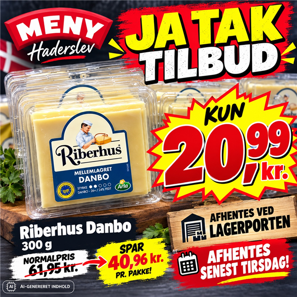 Riberhus ost