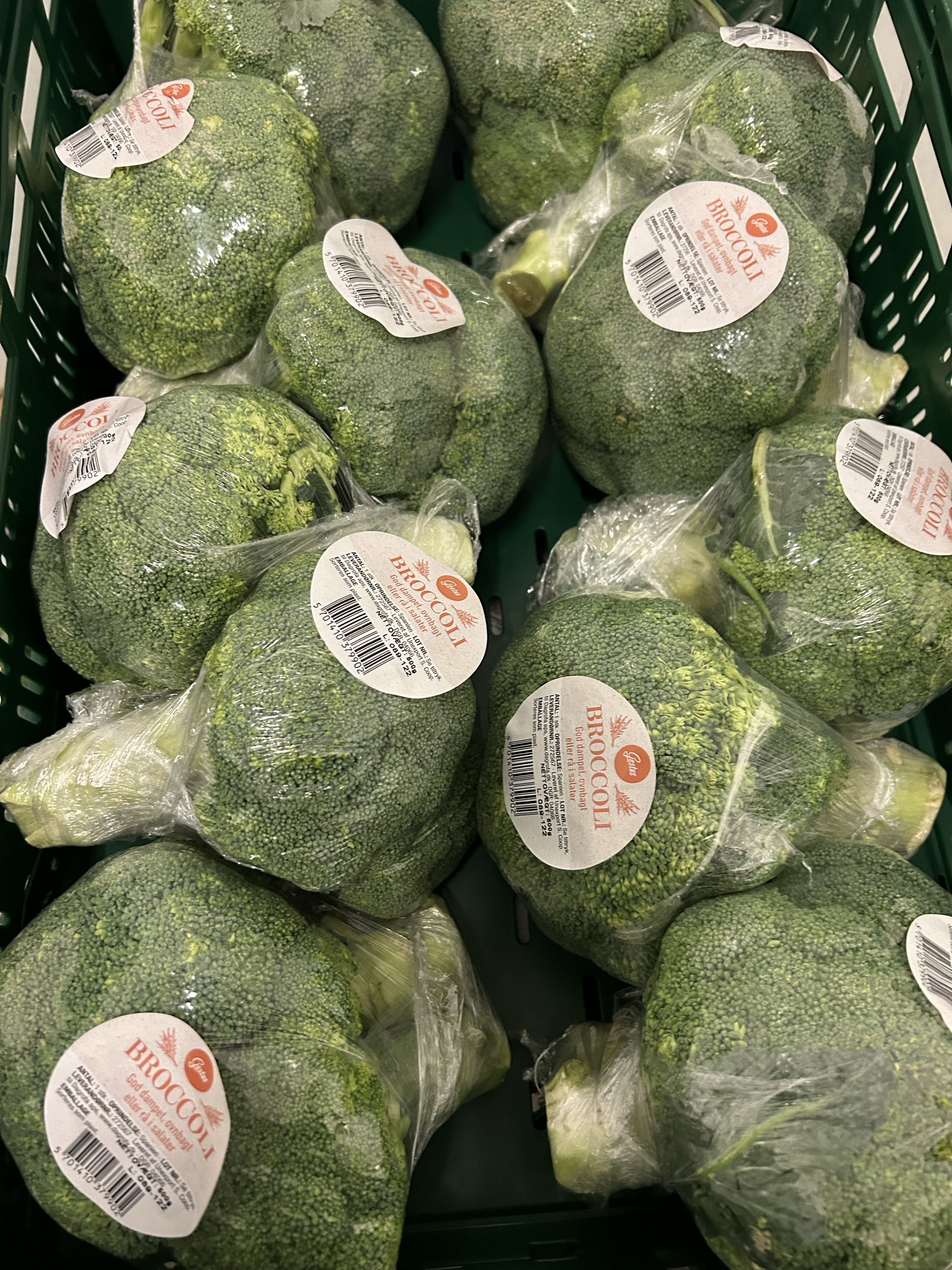 Broccoli