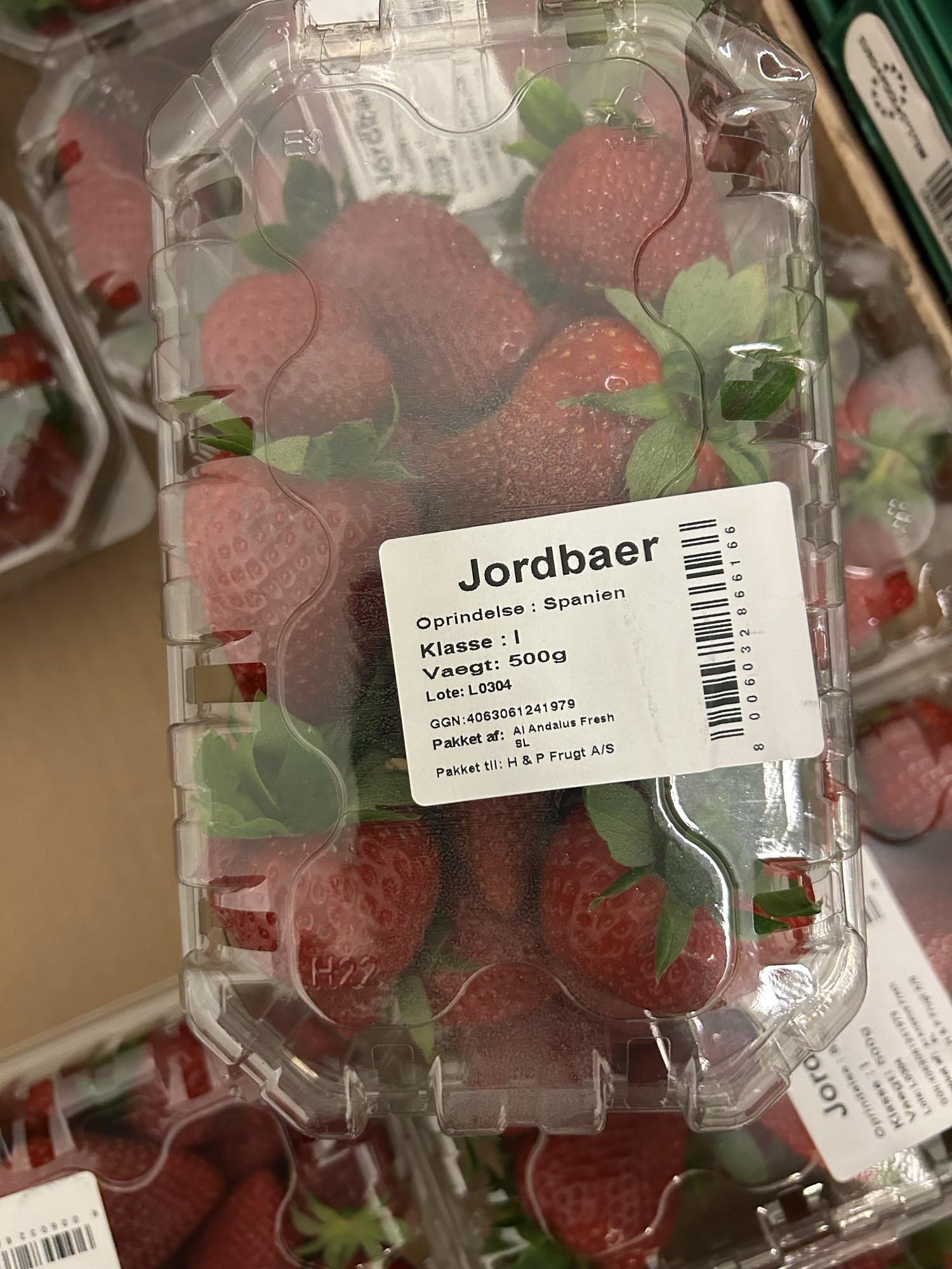 Jordbær