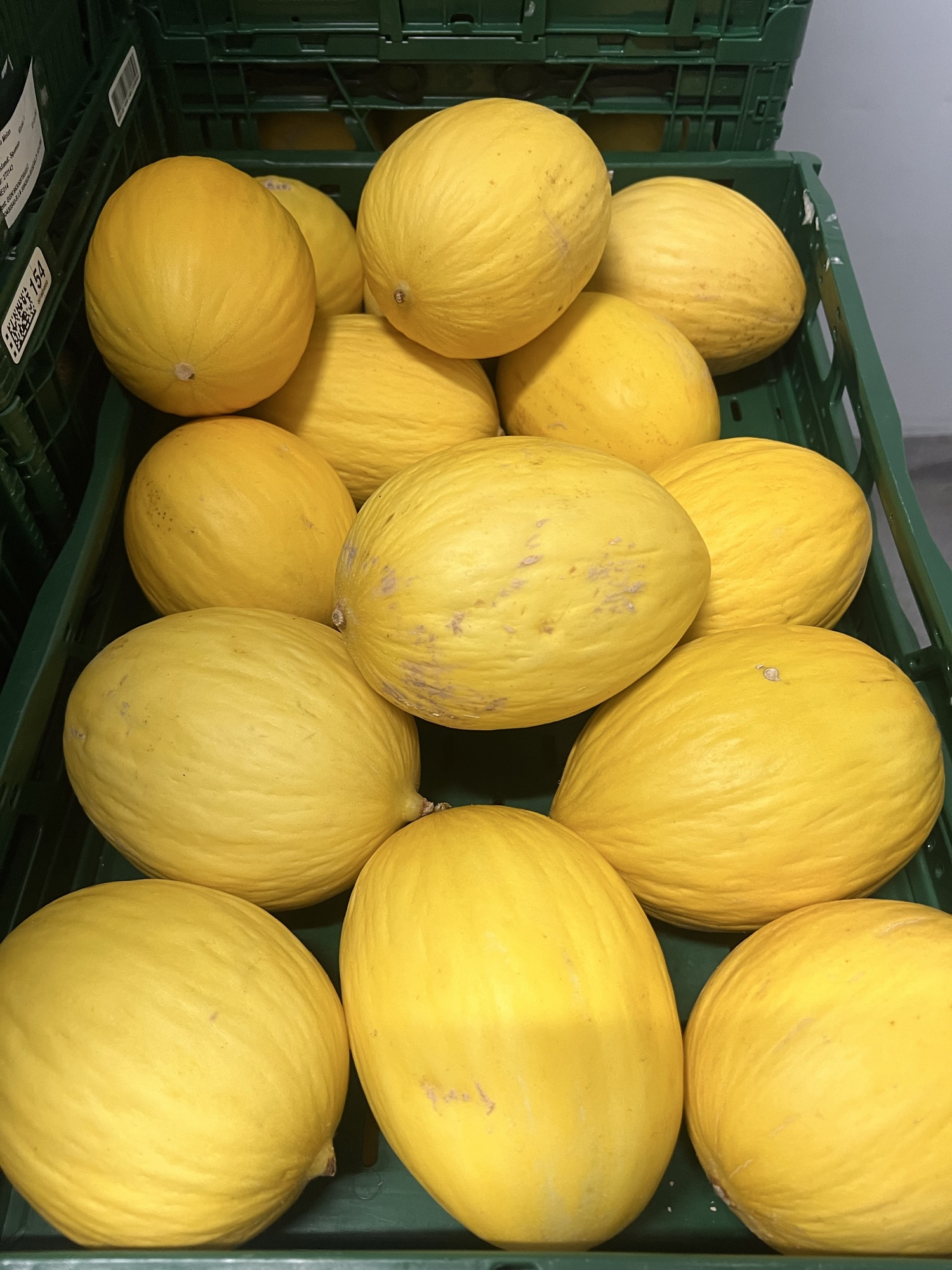 Honningmelon