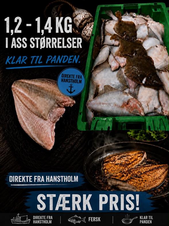 Rødspætte
