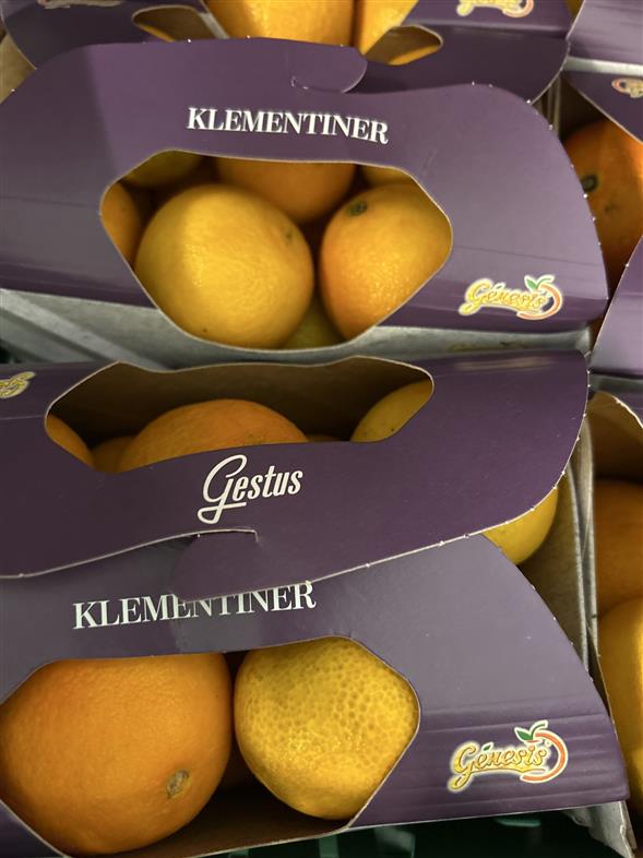 Klementiner