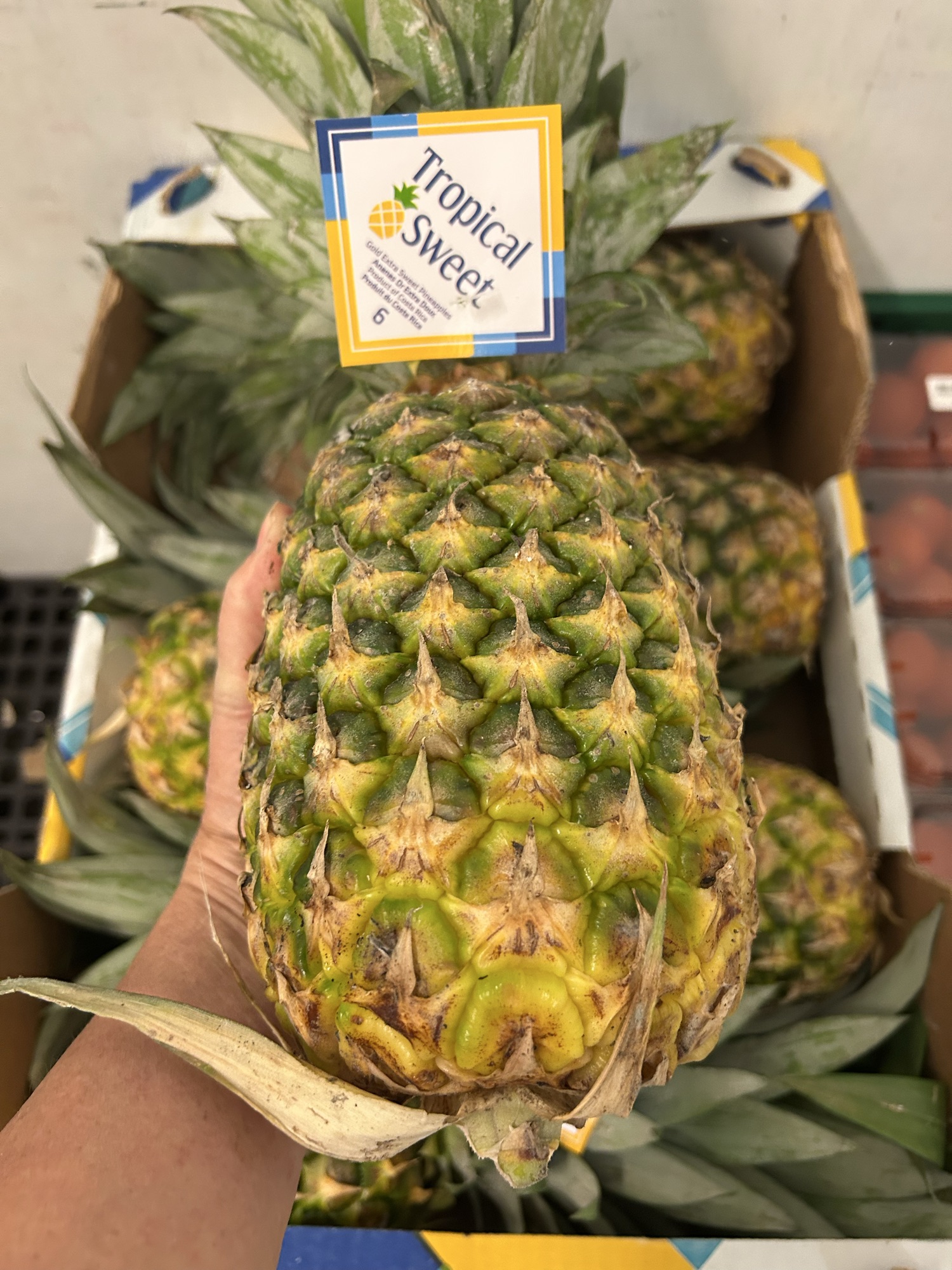 Ananas