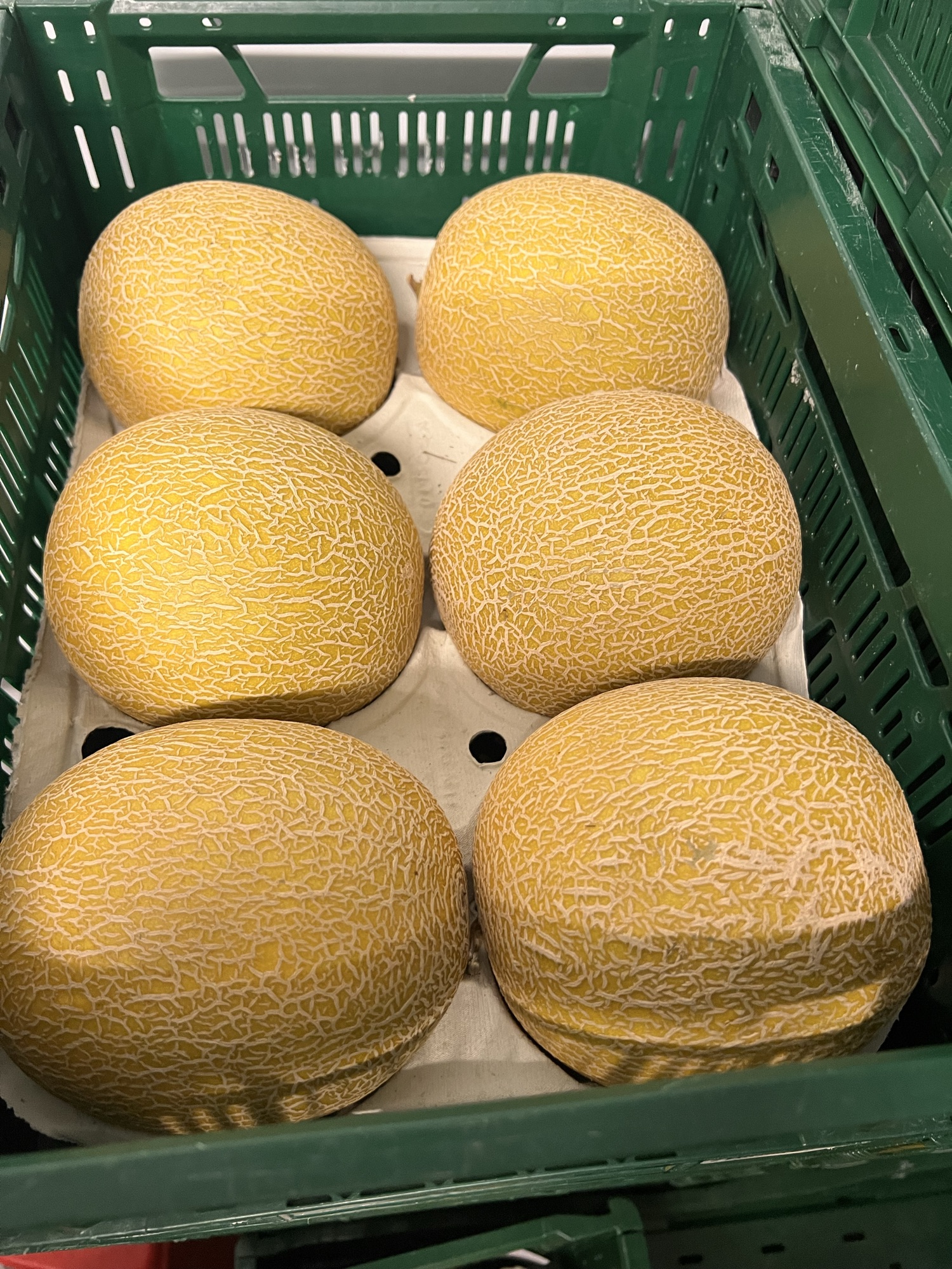 Melon