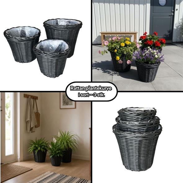 Plantekurve sort