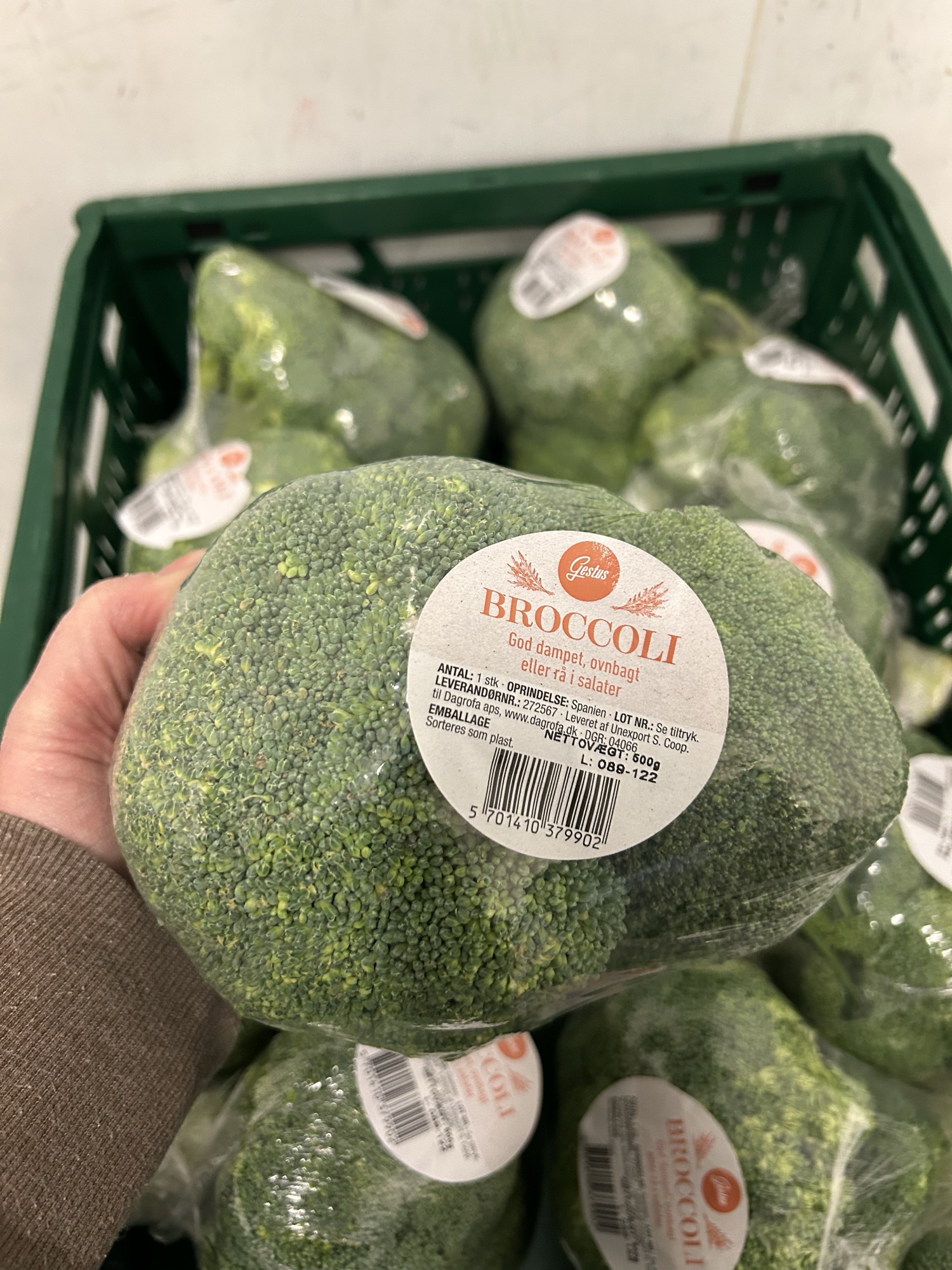 Broccoli