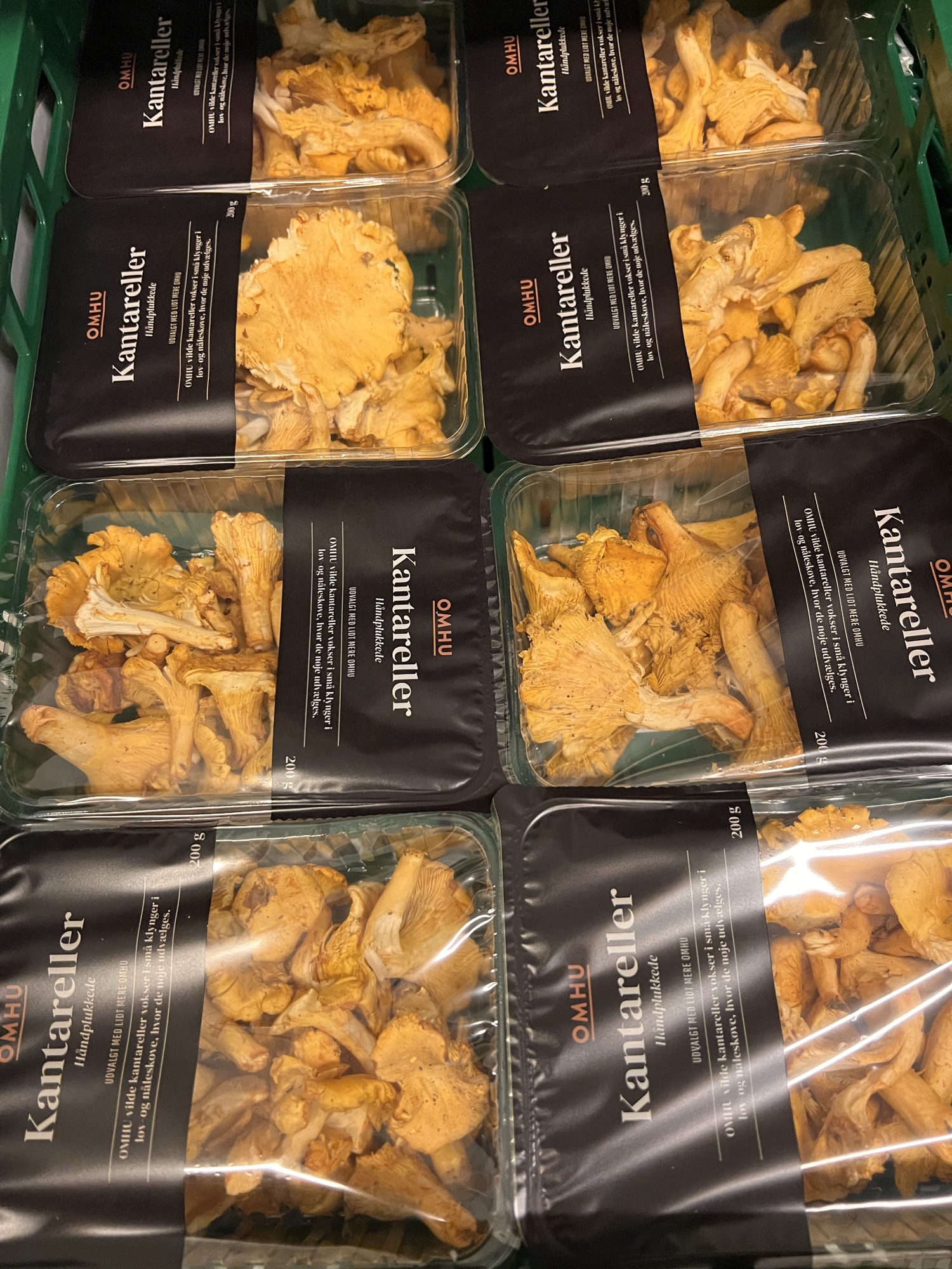 Kantareller